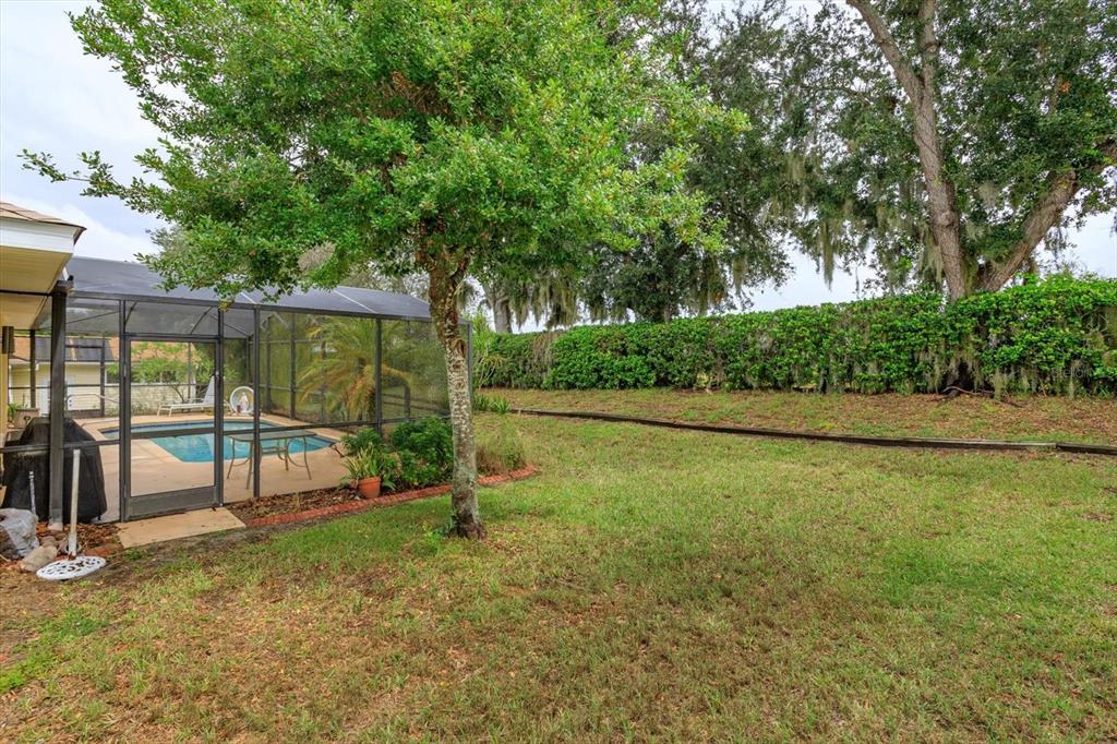 5151 Indian Ocean Loop Tavares, FL 32778 - Photo 25 of 28 a view of a park