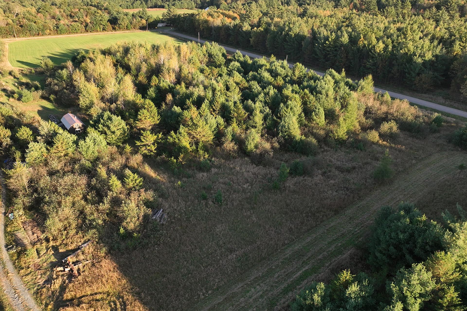 81-acres Anderson Road Neillsville, WI 54456 - Photo 24 of 38