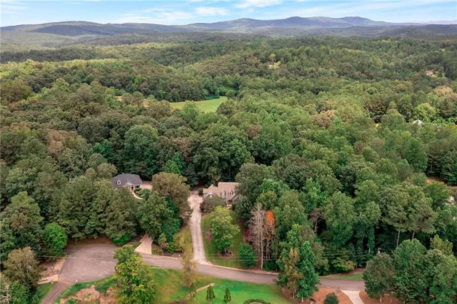 an aerial view of a houses with a lush green hillside