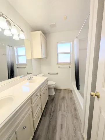 a bathroom with a sink a mirror and a toilet