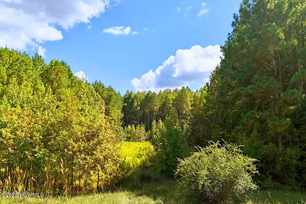 $44,900 | 9631 New Sandy Hill Church Road, Sims, NC 27880