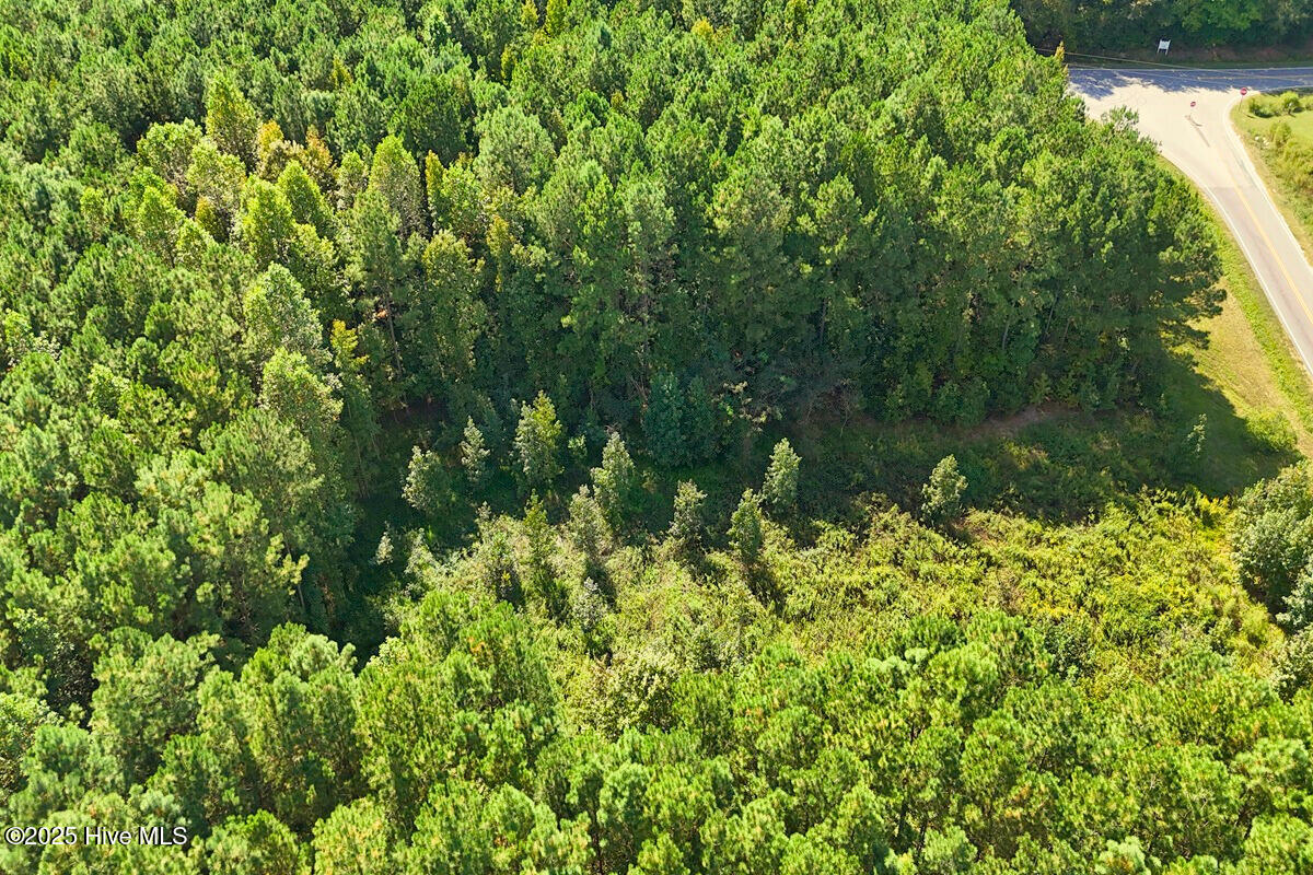 9631 New Sandy Hill Church Road Sims, NC 27880 - Photo 11 of 17 11.