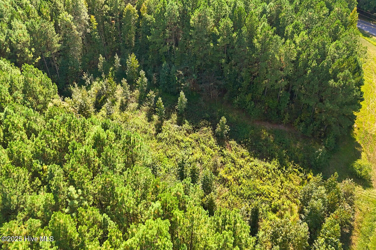 9631 New Sandy Hill Church Road Sims, NC 27880 - Photo 12 of 17 12.