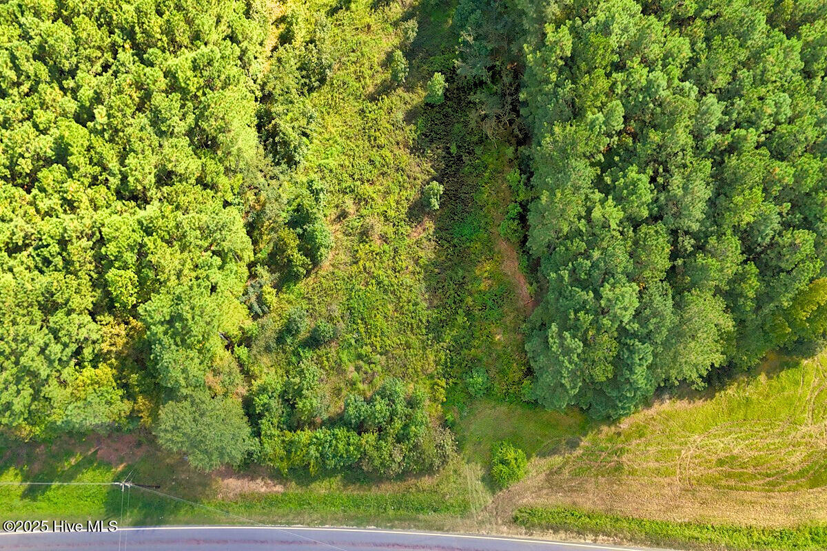 9631 New Sandy Hill Church Road Sims, NC 27880 - Photo 14 of 17 14.