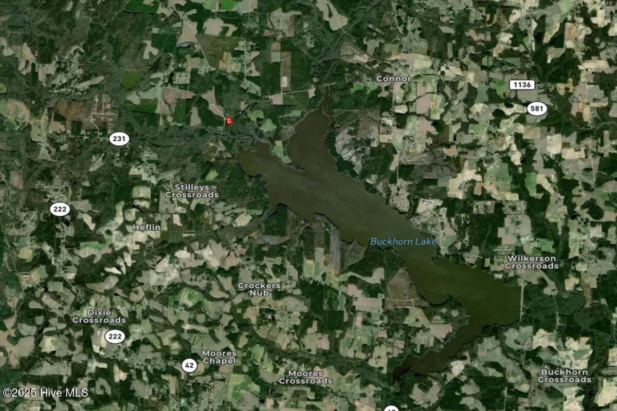 9631 New Sandy Hill Church Road Sims, NC 27880 - Photo 17 of 17 17. Aerial Regional Screenshot