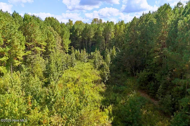 $44,900 | 9631 New Sandy Hill Church Road, Sims, NC 27880