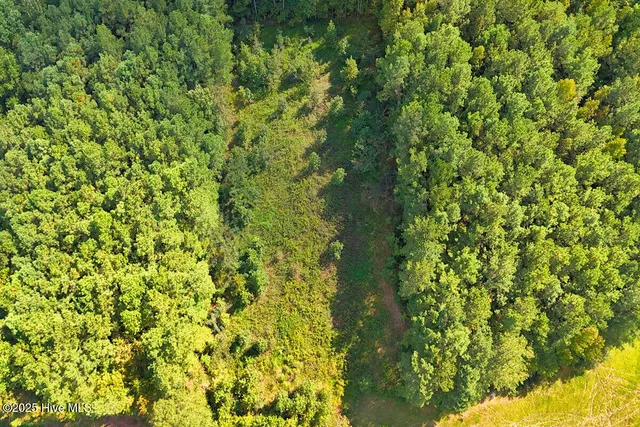 $44,900 | 9631 New Sandy Hill Church Road, Sims, NC 27880