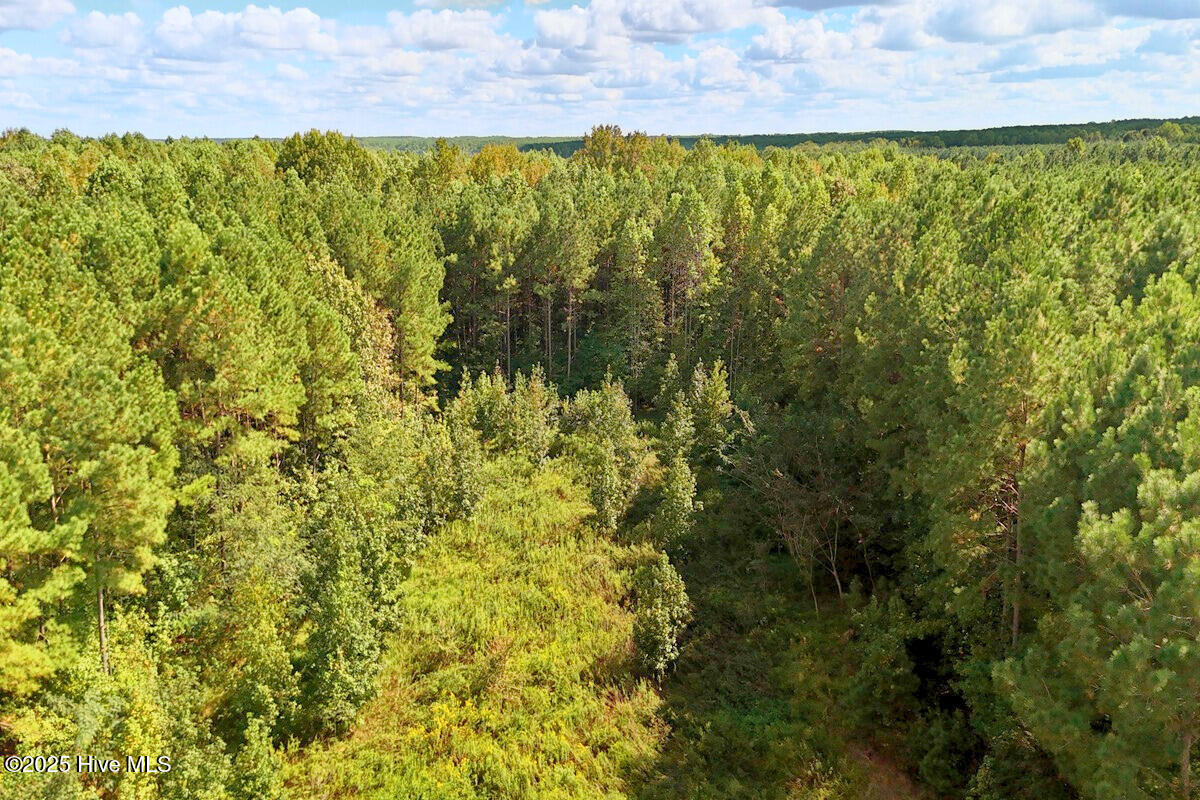 9631 New Sandy Hill Church Road Sims, NC 27880 - Photo 5 of 17 5.