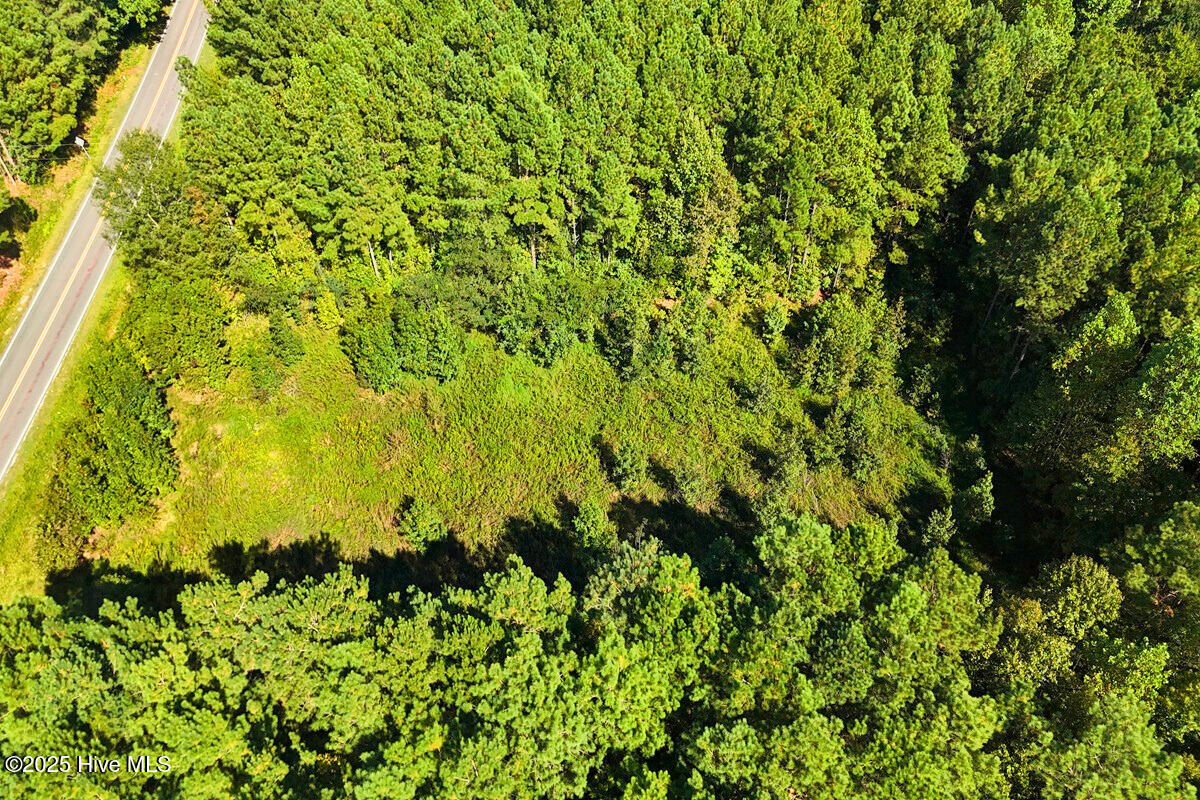 9631 New Sandy Hill Church Road Sims, NC 27880 - Photo 7 of 17 7.