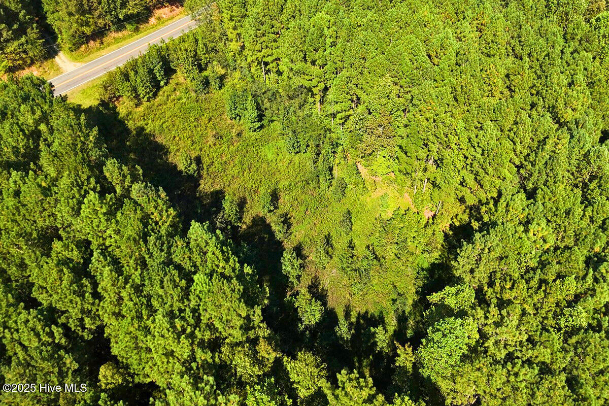 9631 New Sandy Hill Church Road Sims, NC 27880 - Photo 8 of 17 8.