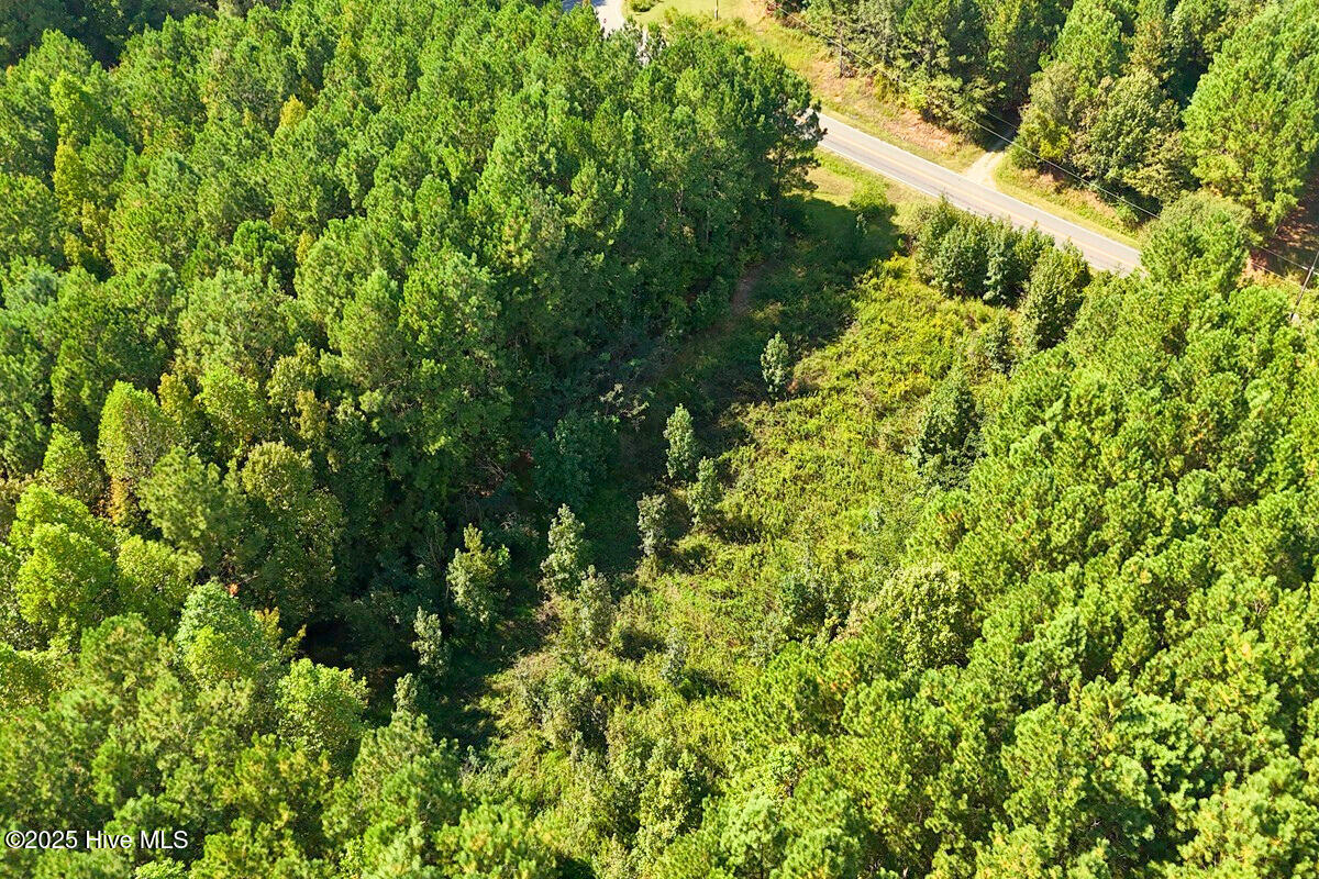 9631 New Sandy Hill Church Road Sims, NC 27880 - Photo 10 of 17 10.