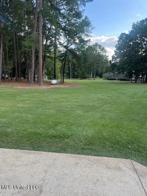 1125 Deerfield Road Summit, MS 39666 - Photo 12 of 37 thumbnail_IMG_9239