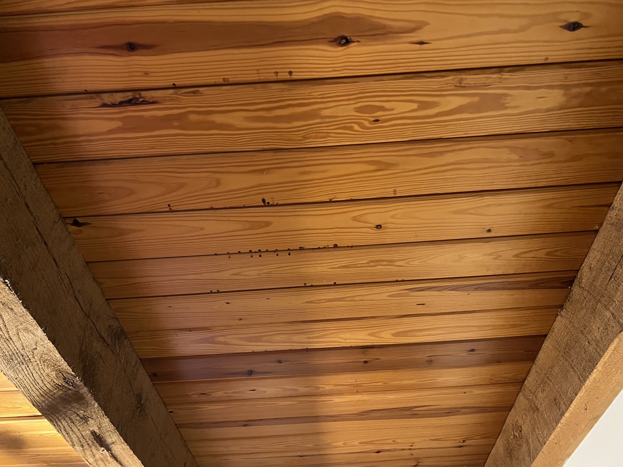 3125 Sweethome Road Chapmansboro, TN 37035 - Photo 2 of 19 Gallery Image 2