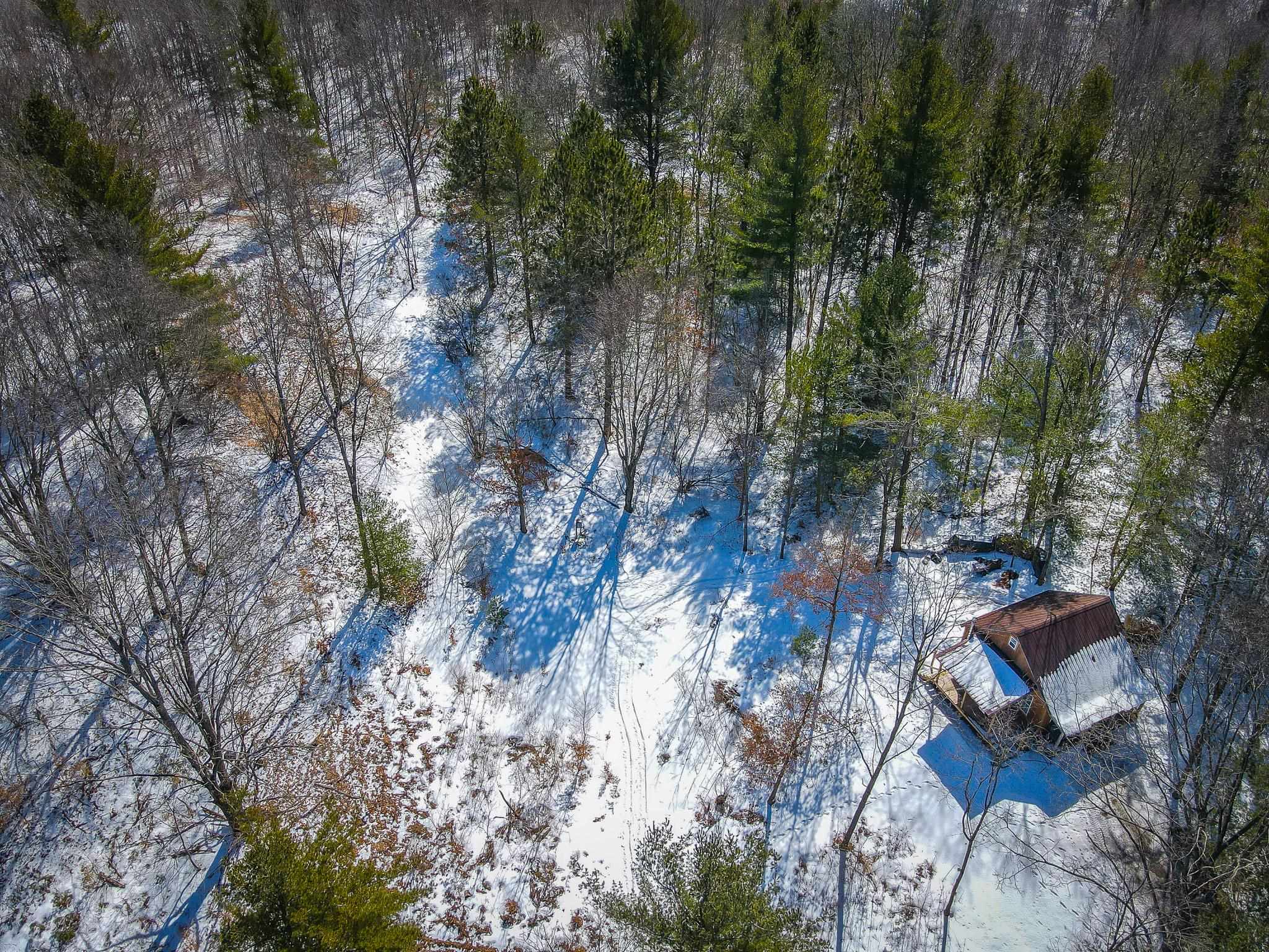 0 East 3 Mile Road Luther, MI 49656 - Photo 5 of 31