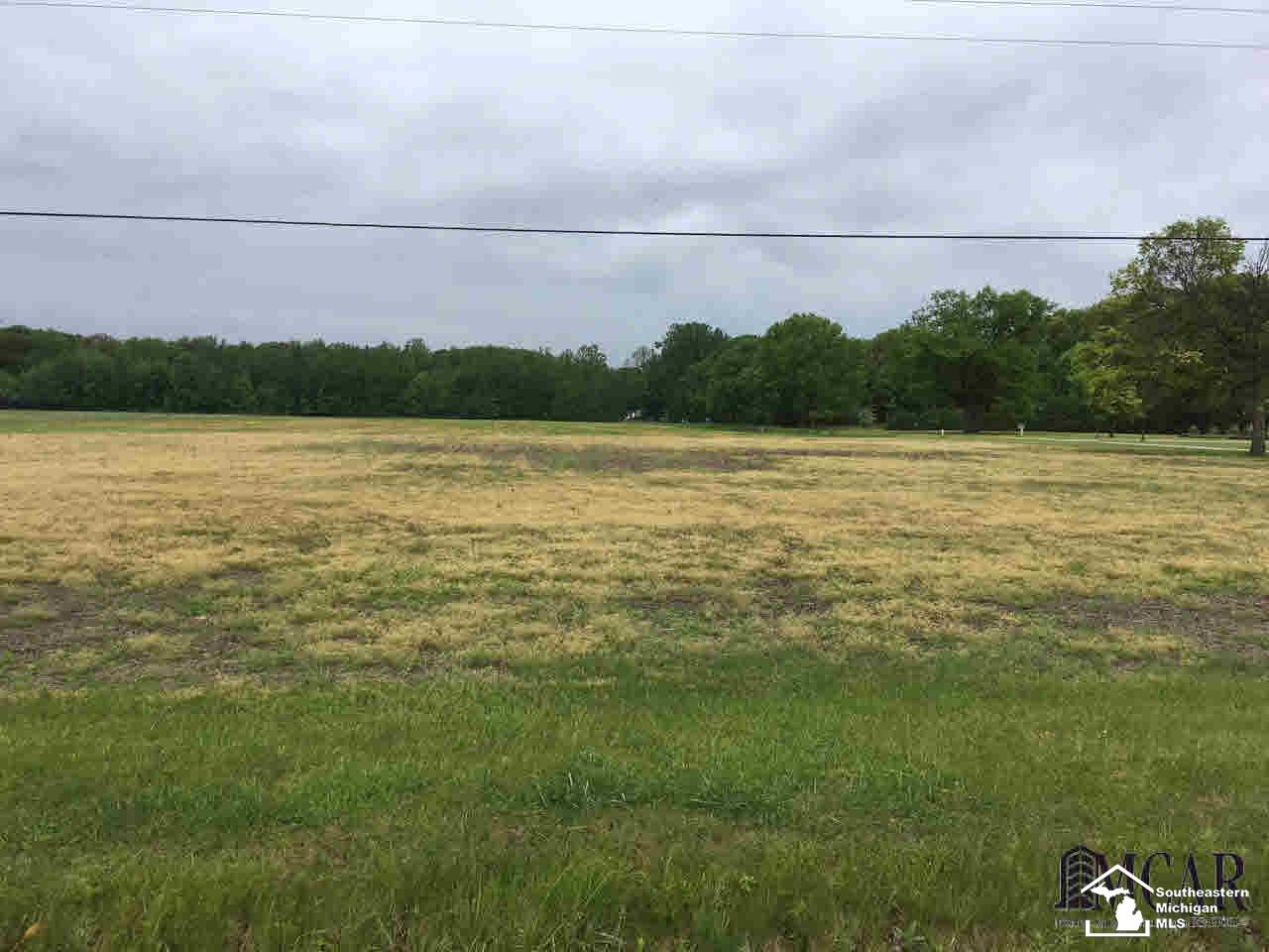 1 Hoffman Road Maybee, MI 48159 - Photo 4 of 4