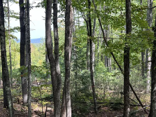 $82,500 | 3-2 Summit Hill Road, Harrison, ME 04040