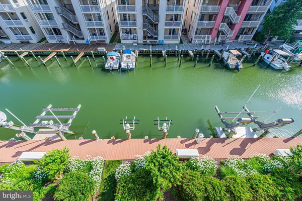 a green field covered with tall trees