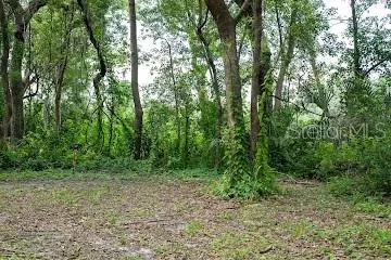 a view of outdoor space and green space