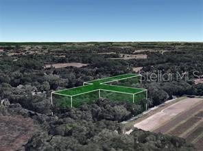 8641 High Street Yalaha, FL 34797 - Photo 4 of 4 a view of a garden