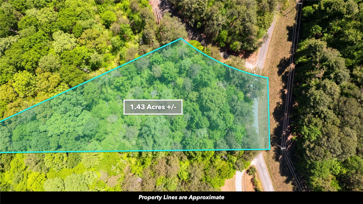 26 Wilbanks Road Seneca, SC 29678 - Photo 45 of 47 Vast green spaces and dense tree coverage provide a serene environment for your next project.