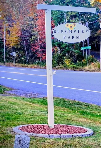 a view of yard with small swimming pool