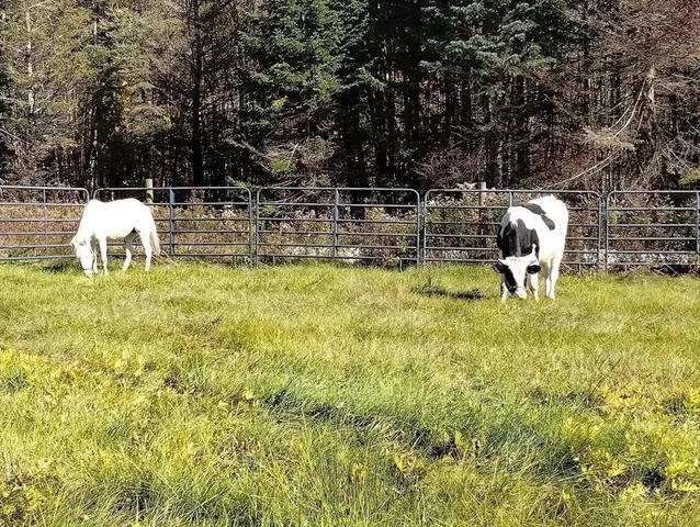 an outdoor space with furniture