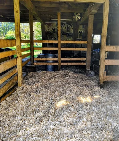 a view of a yard with plants