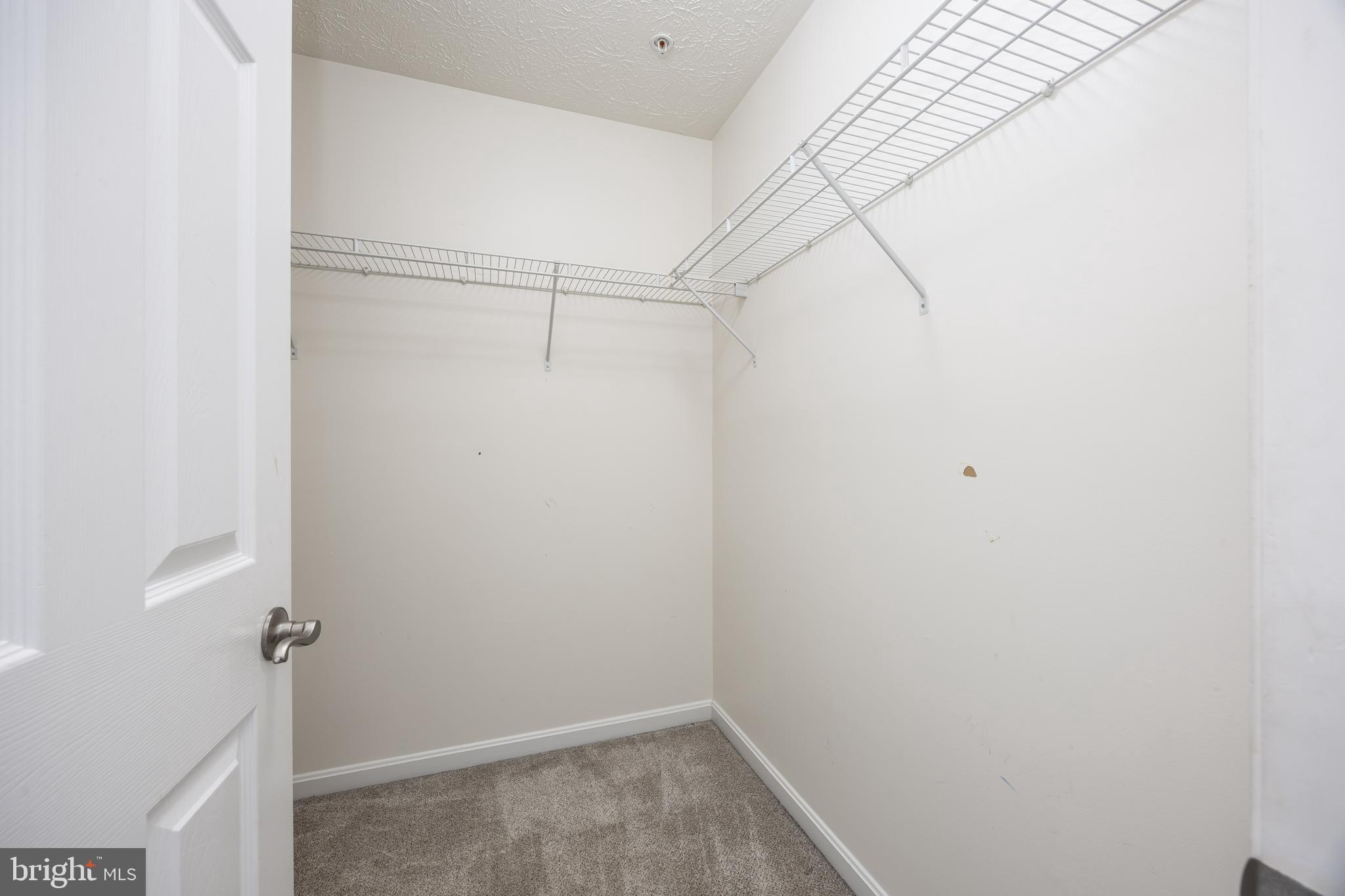 9549 Wedge Way Delmar, MD 21875 - Photo 50 of 60