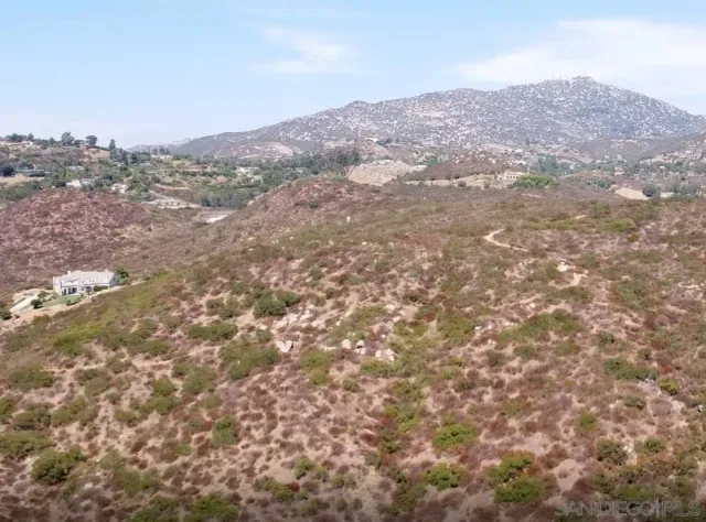 an aerial view of houses covered in trees