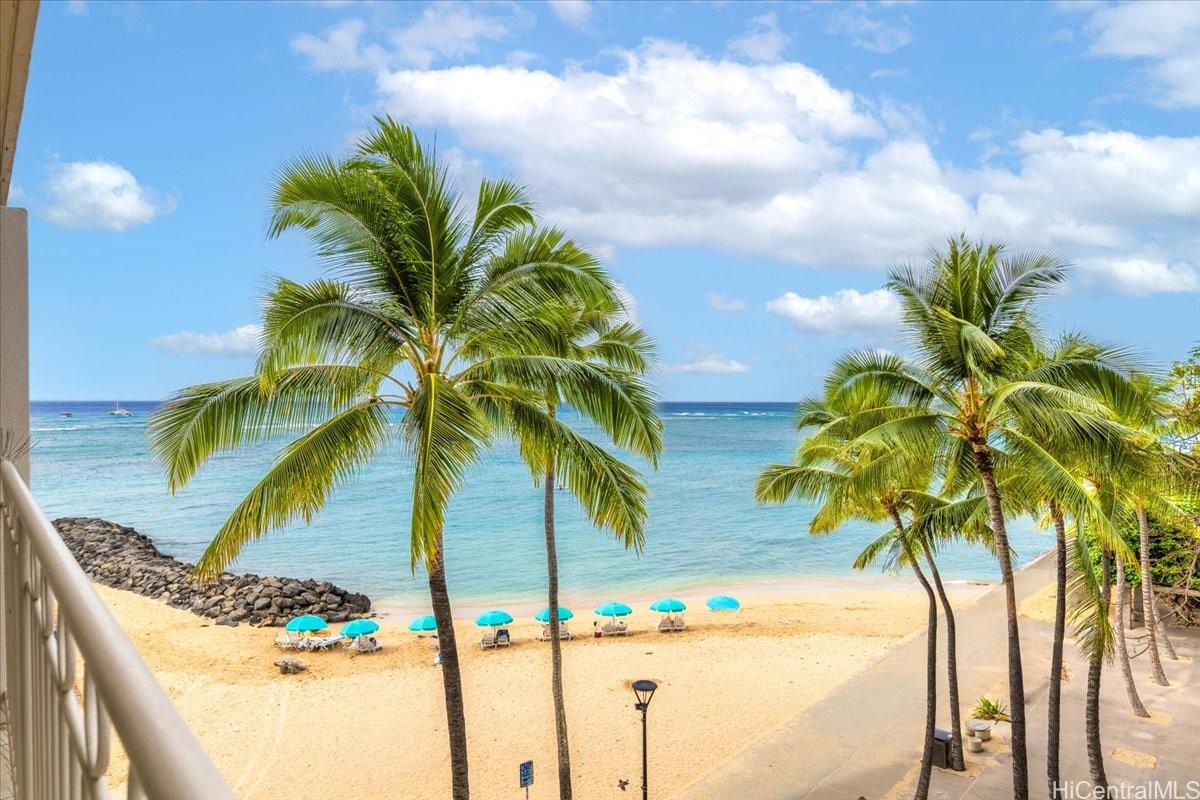a view of palm trees