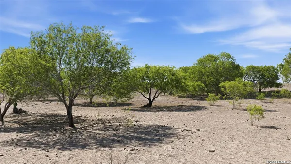 a view of a back yard of the house
