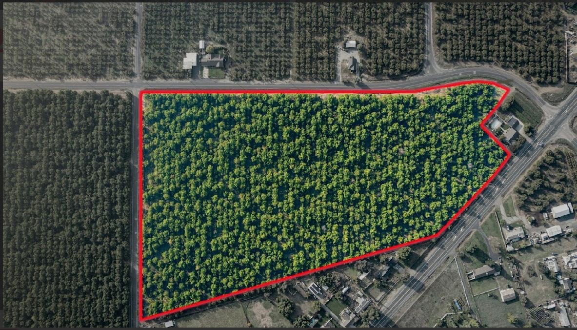 a view of a basket ball court