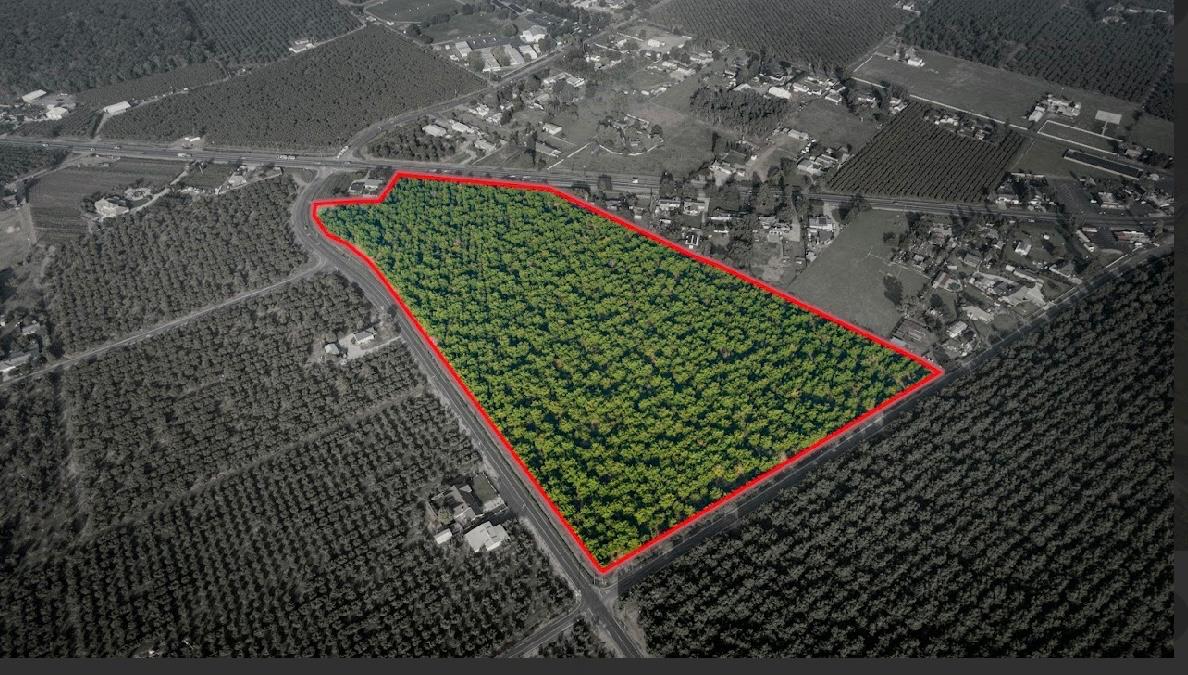 10221 Baker Road Stockton, CA 95215 - Photo 3 of 7