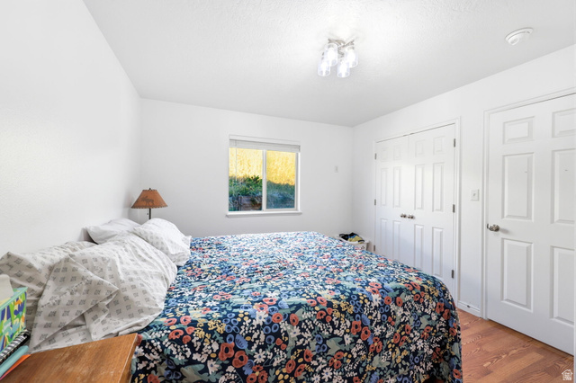 1662 East Ridgefield Road Spanish Fork, UT 84660 - Photo 10 of 18 Bedroom featuring a window with exterior scenery, wood-finish flooring, two white paneled doors, and a ceiling-mounted light fixture