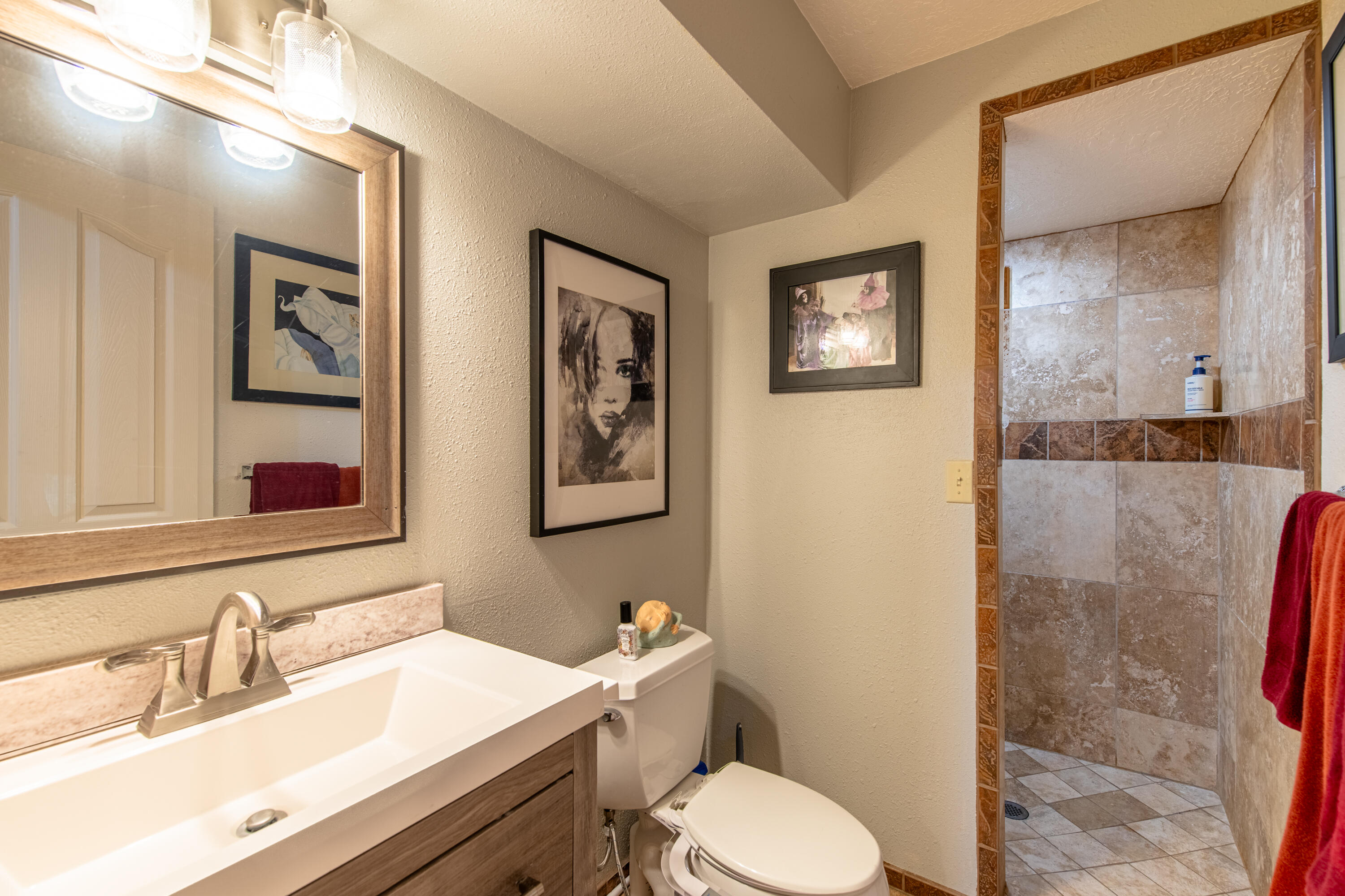 29 Canyon View Drive Springdale, UT 84767 - Photo 52 of 67 Basement bath#2