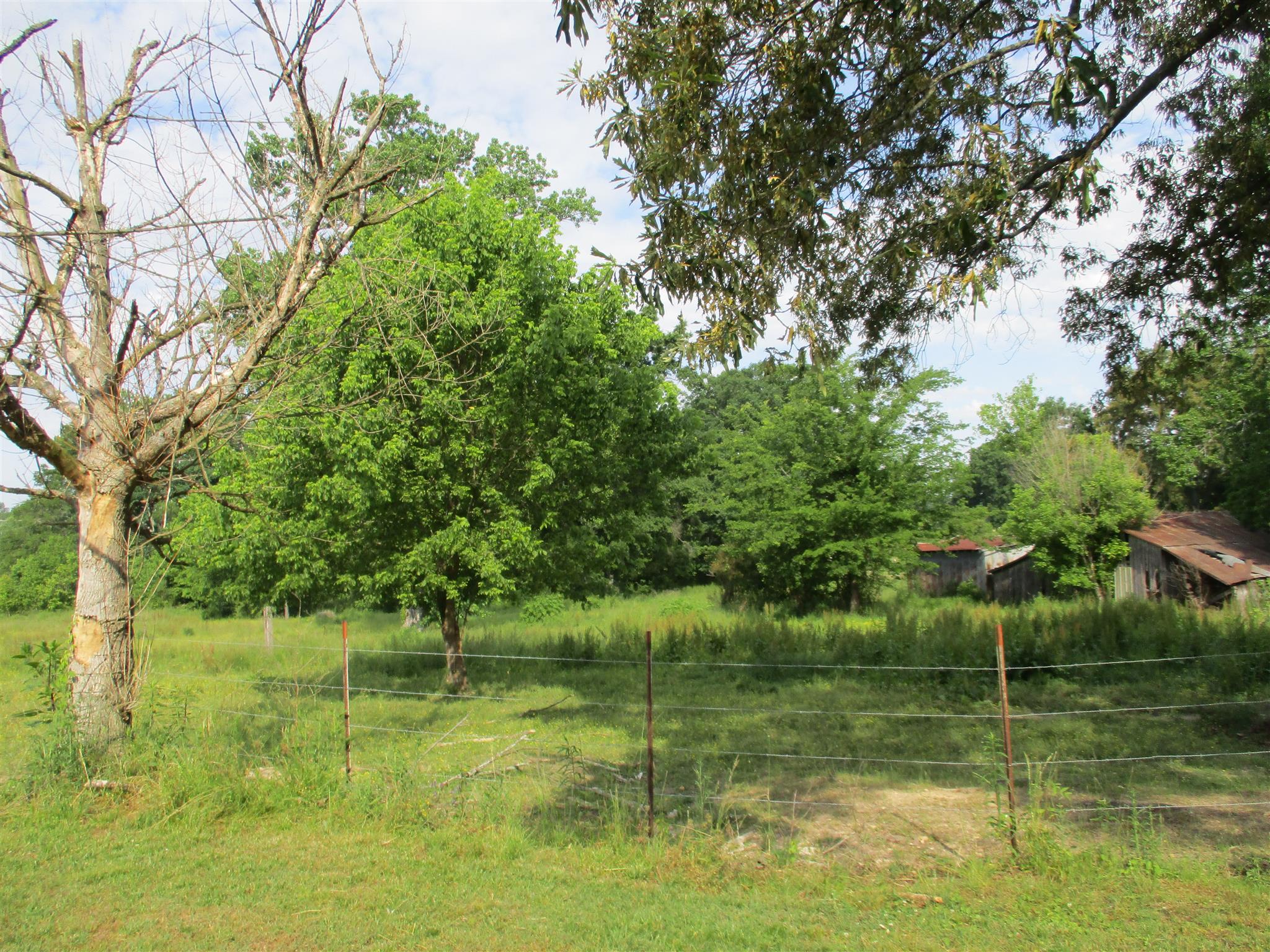 29 Owens Road Five Points, TN 38457 - Photo 7 of 26 a view of lake with green space