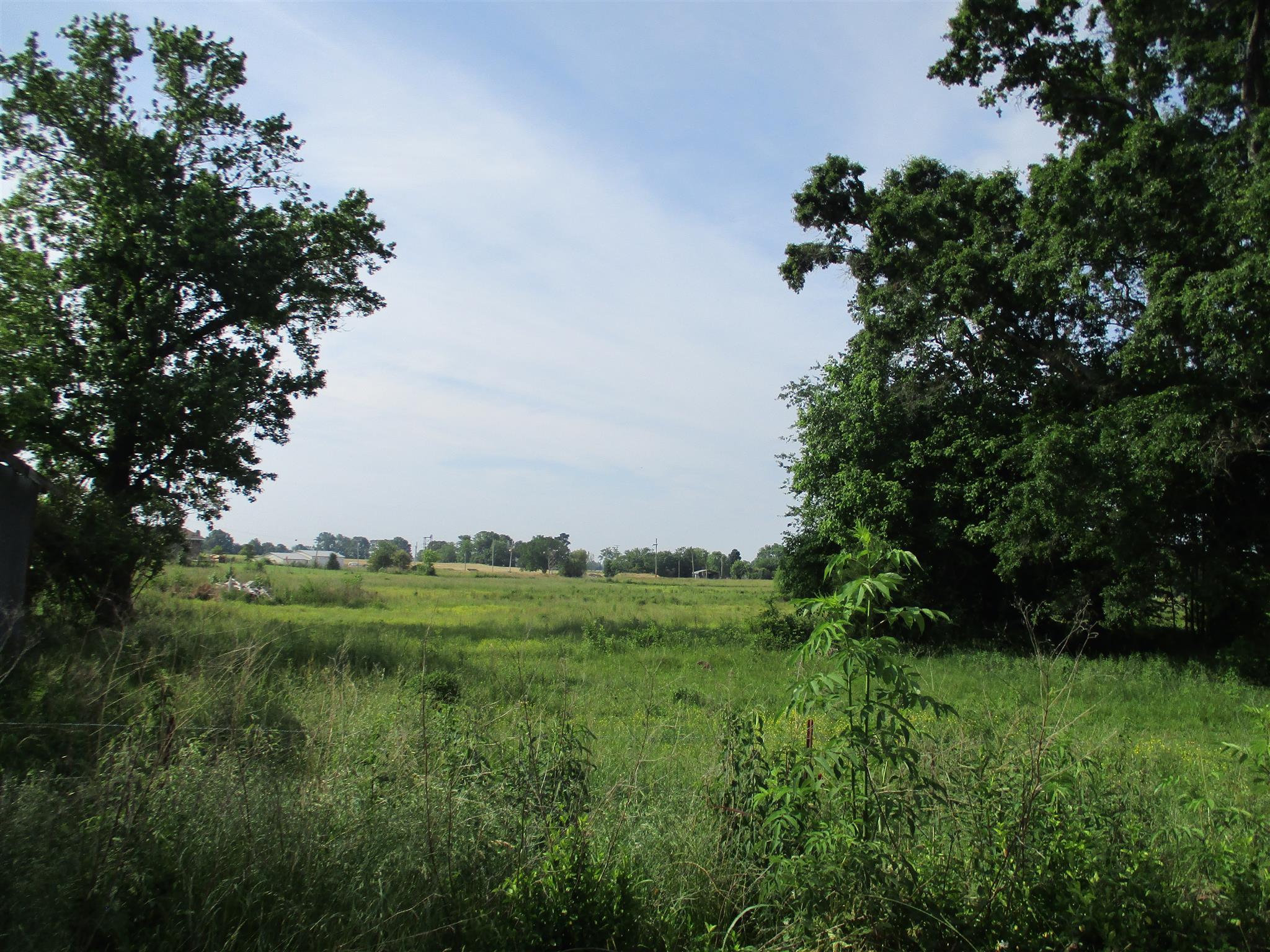 29 Owens Road Five Points, TN 38457 - Photo 9 of 26 a view of a lush green space