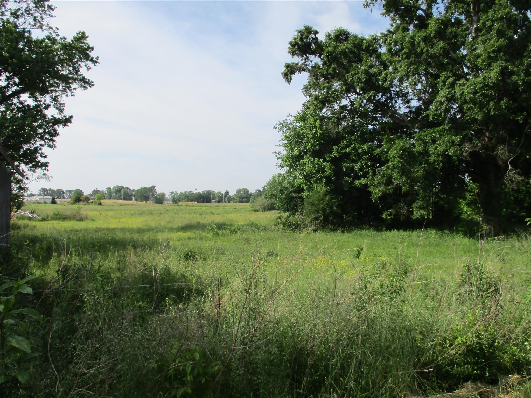 29 Owens Road Five Points, TN 38457 - Photo 10 of 26 a view of a lush green space