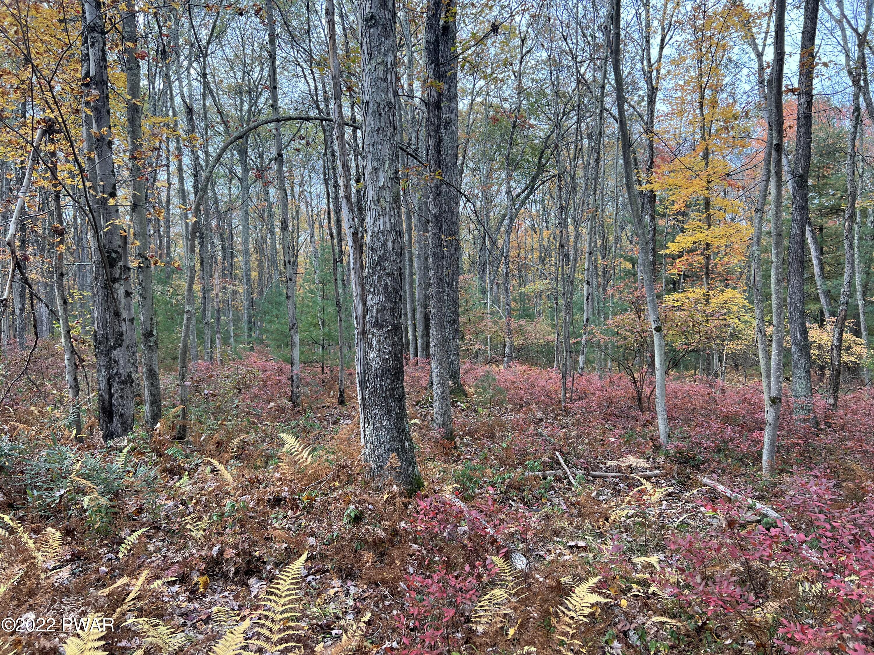 Lot 8 Whispering Oaks Road Greeley, PA 18425 - Photo 2 of 5