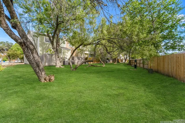 a huge green field with lots of trees