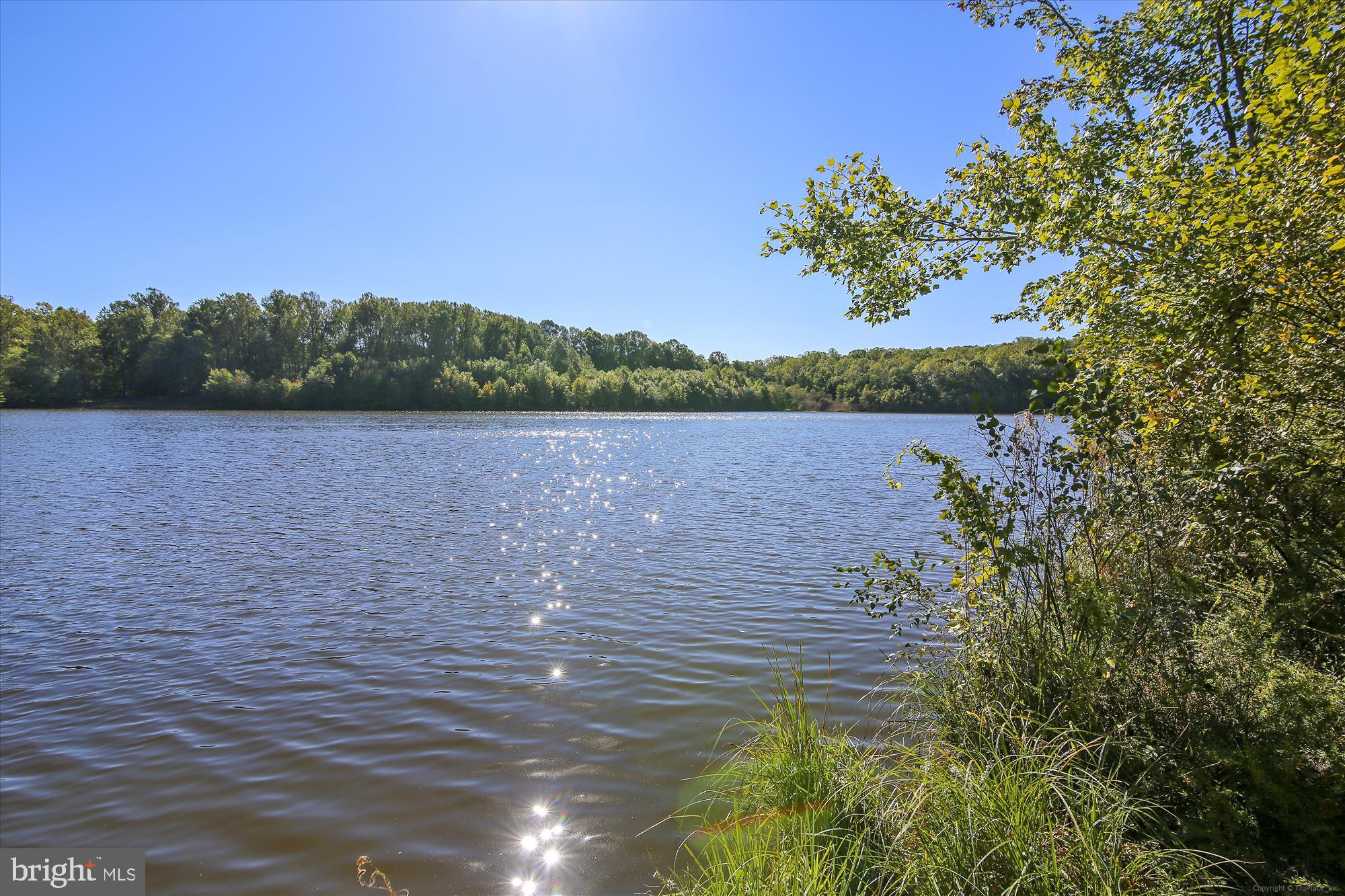 8322 Cushing Court Springfield, VA 22153 - Photo 46 of 57 a view of a lake