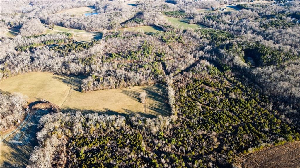 3004-zz County Farm Road Gibsonville, NC 27249 - Photo 15 of 17