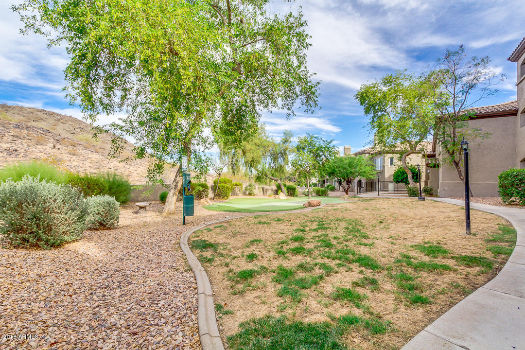 3236 East Chandler Boulevard, Unit 2093 Phoenix, AZ 85048 - Photo 27 of 28 a view of a yard with plants and trees