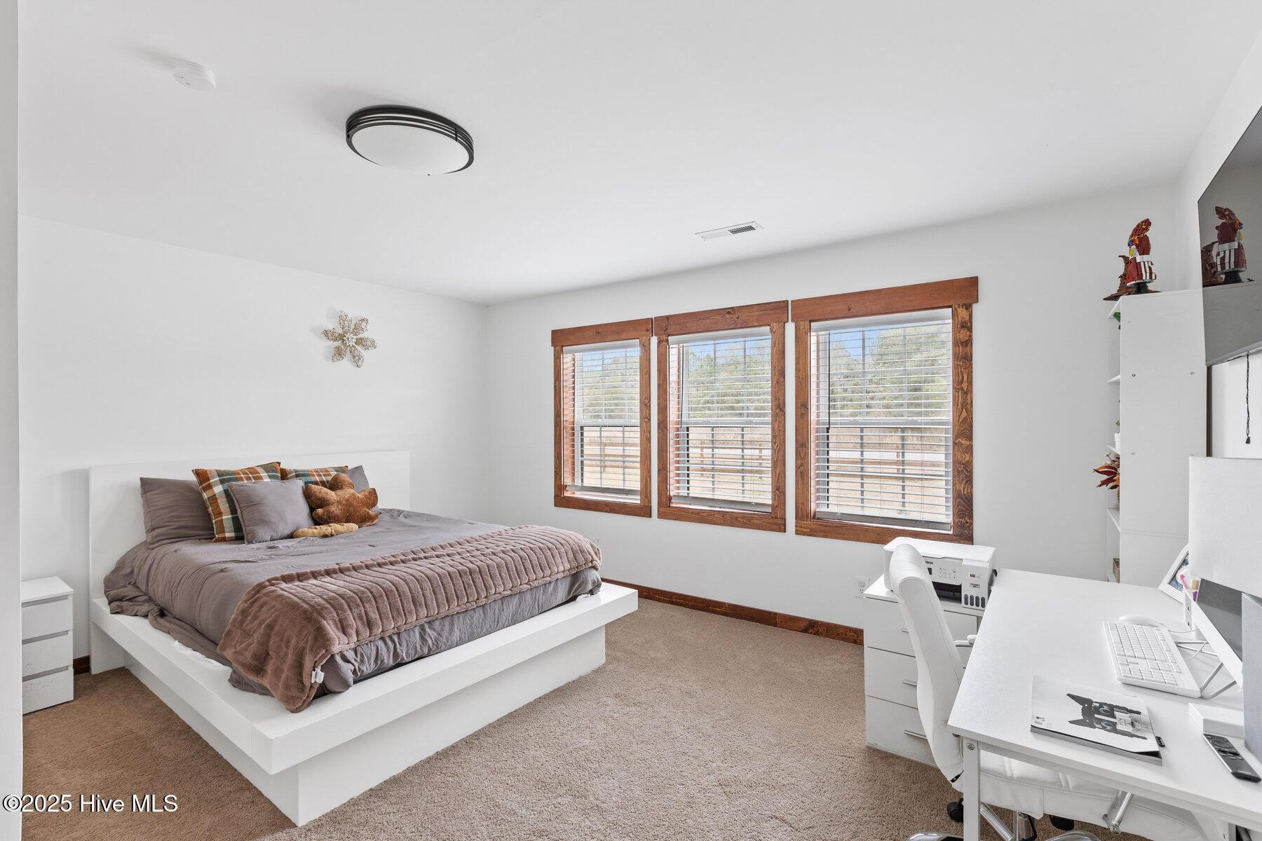 16214 Old Lake Road Riegelwood, NC 28456 - Photo 19 of 34 019_16214_old_lake_road-19_294