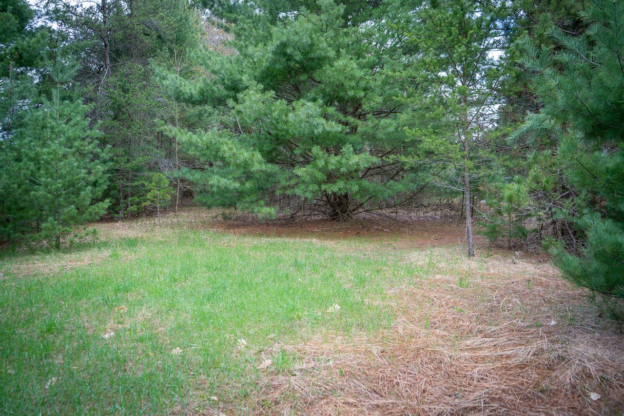 V/l Hudson Road South Boardman, MI 49680 - Photo 20 of 34