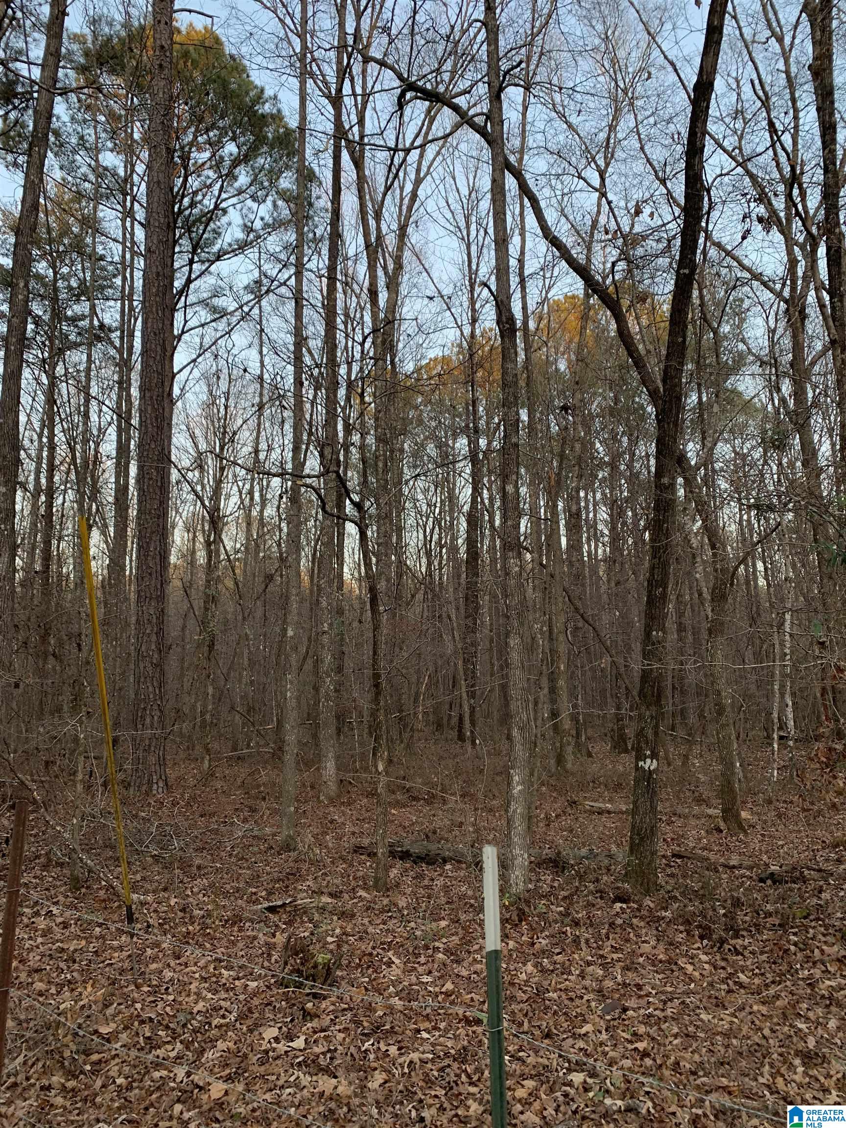 156 County Road Jemison, AL 35085 - Photo 1 of 14