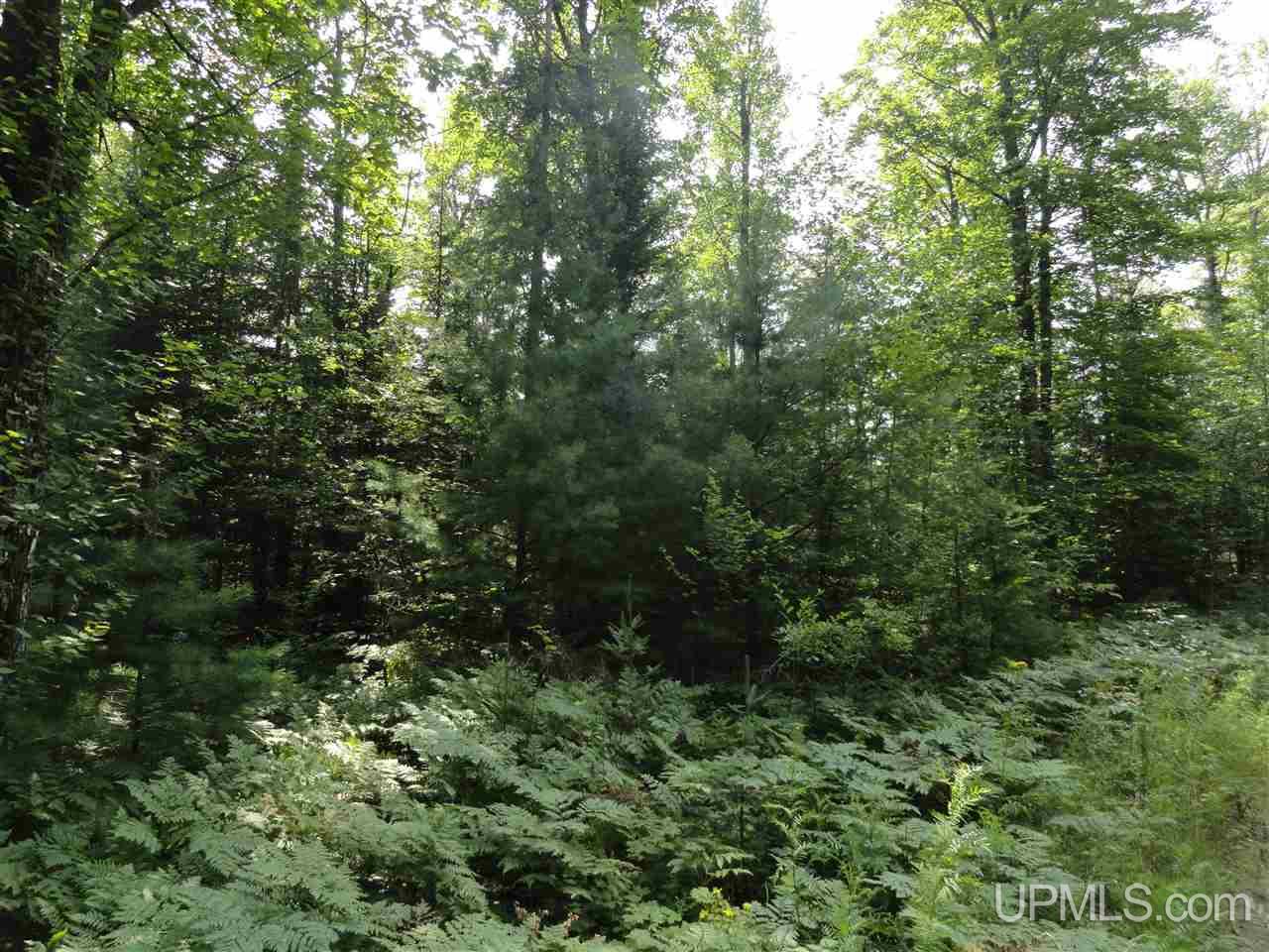 40-acres 40-acres Co Road Ishpeming, MI 49849 - Photo 30 of 36