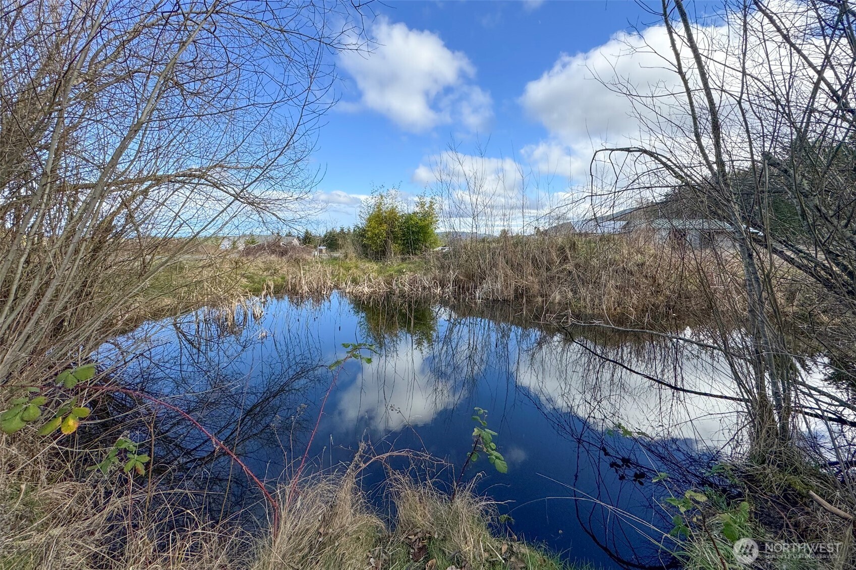 1515 Olson Road Sequim, WA 98382 - Photo 33 of 40 a view of a backyard of the house