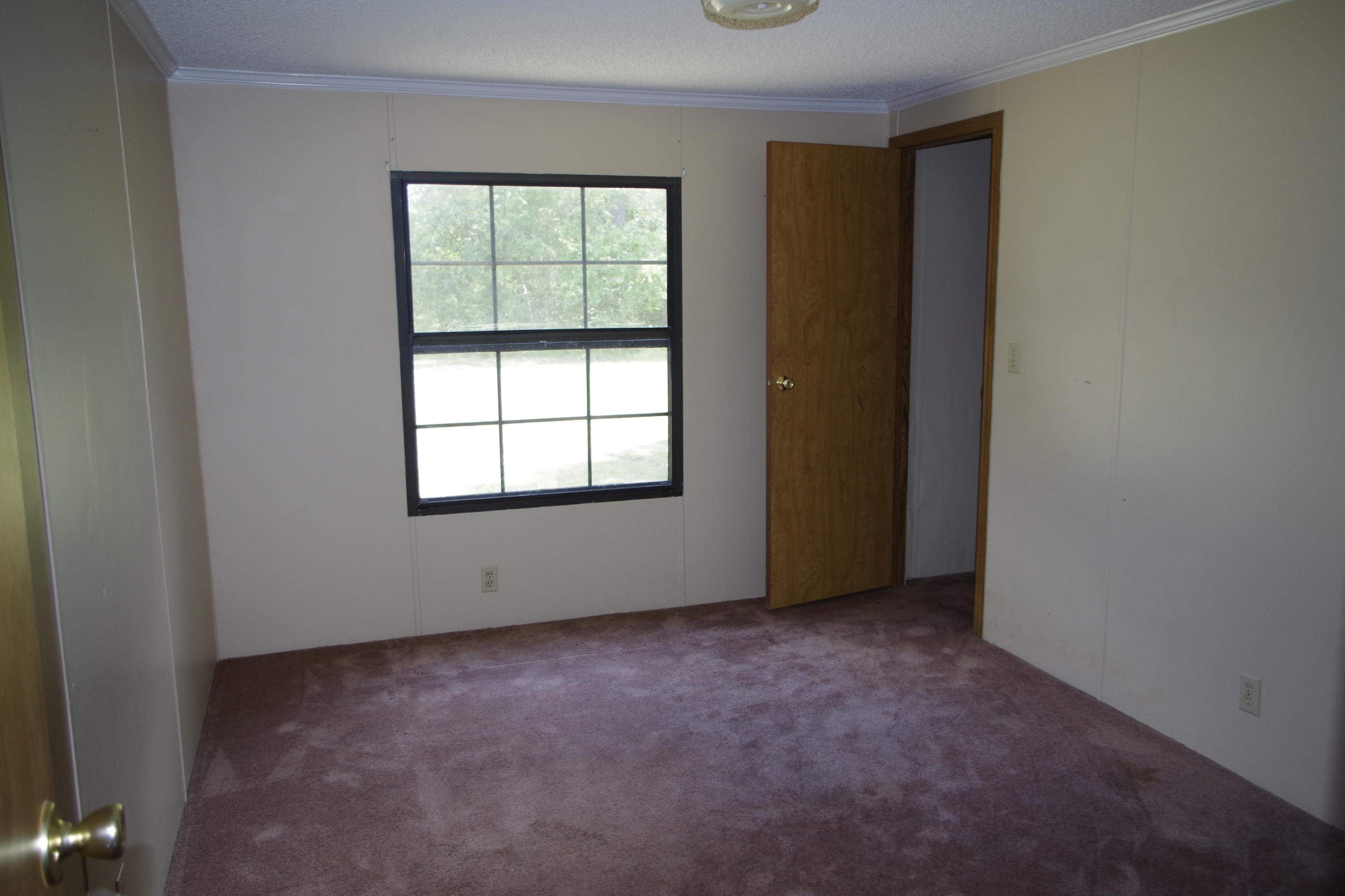 4721 Parishville Road Meggett, SC 29449 - Photo 24 of 35 Inside (19)
