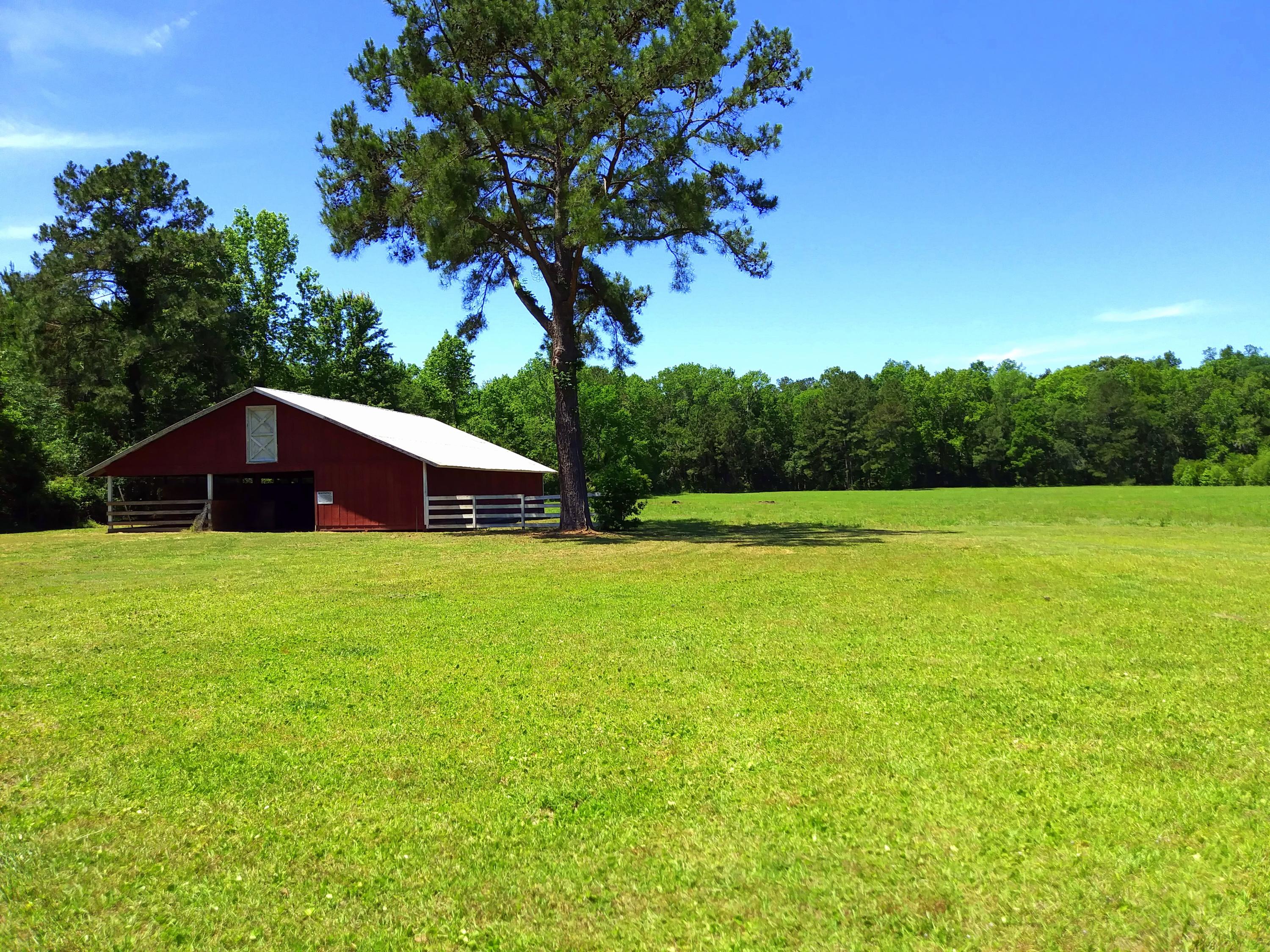 4721 Parishville Road Meggett, SC 29449 - Photo 29 of 35 Barn Field